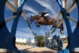 equestrian_4 equestrian_4